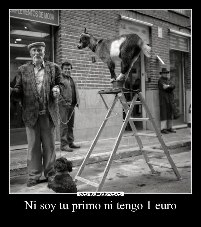 carteles euro gitano desmotivaciones