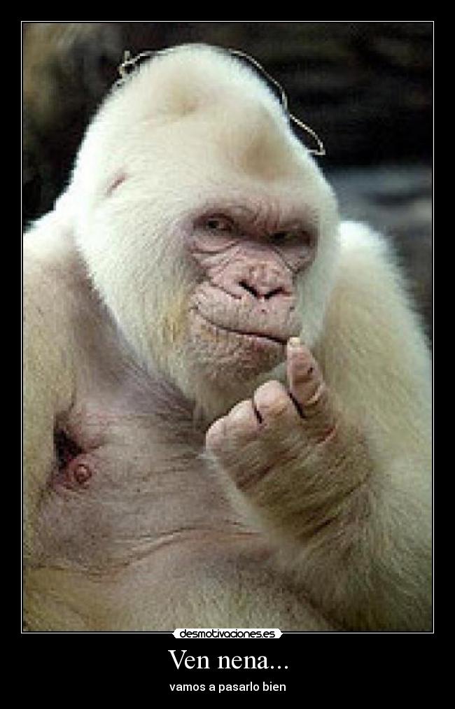 Ven nena... - vamos a pasarlo bien