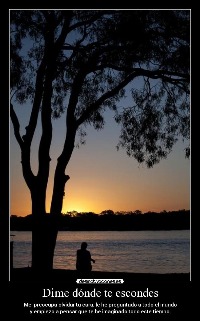 carteles tree alone cornerstone arctic monkeys desmotivaciones