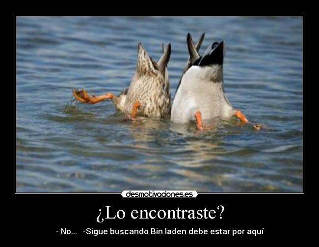 ¿Lo encontraste? -