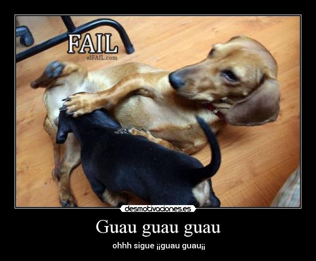 Guau guau guau - ohhh sigue ¡¡guau guau¡¡