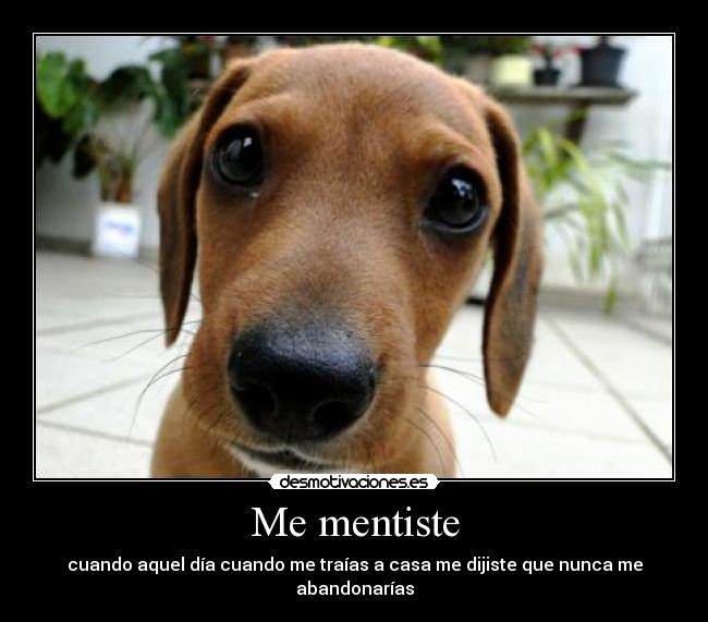 Me mentiste - 