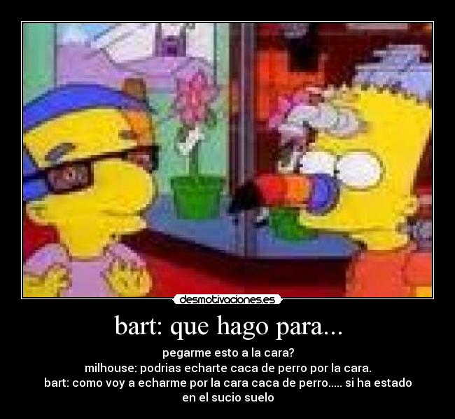 bart: que hago para... - pegarme esto a la cara?
milhouse: podrias echarte caca de perro por la cara.
bart: como voy a echarme por la cara caca de perro..... si ha estado en el sucio suelo