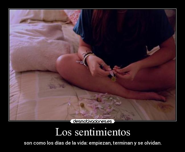 Los sentimientos - 