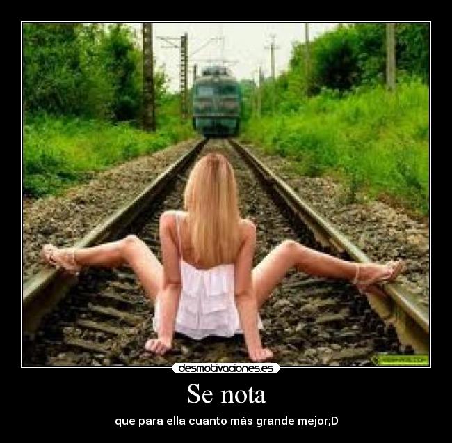 carteles nota desmotivaciones