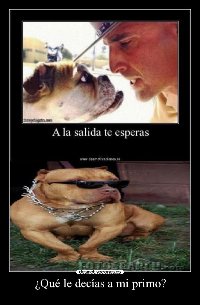 ¿Qué le decías a mi primo? -