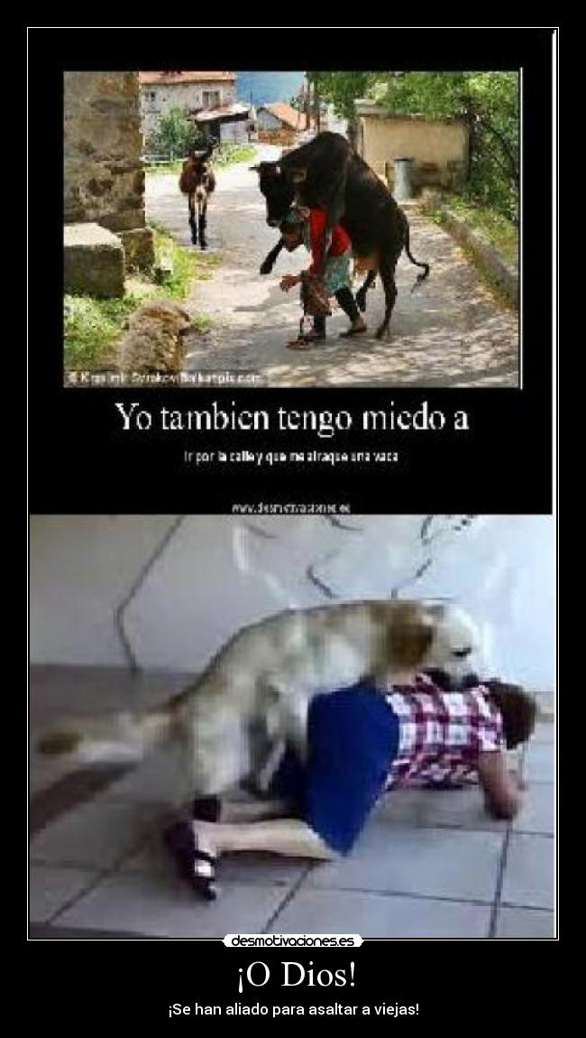 carteles dios markie desmotivaciones