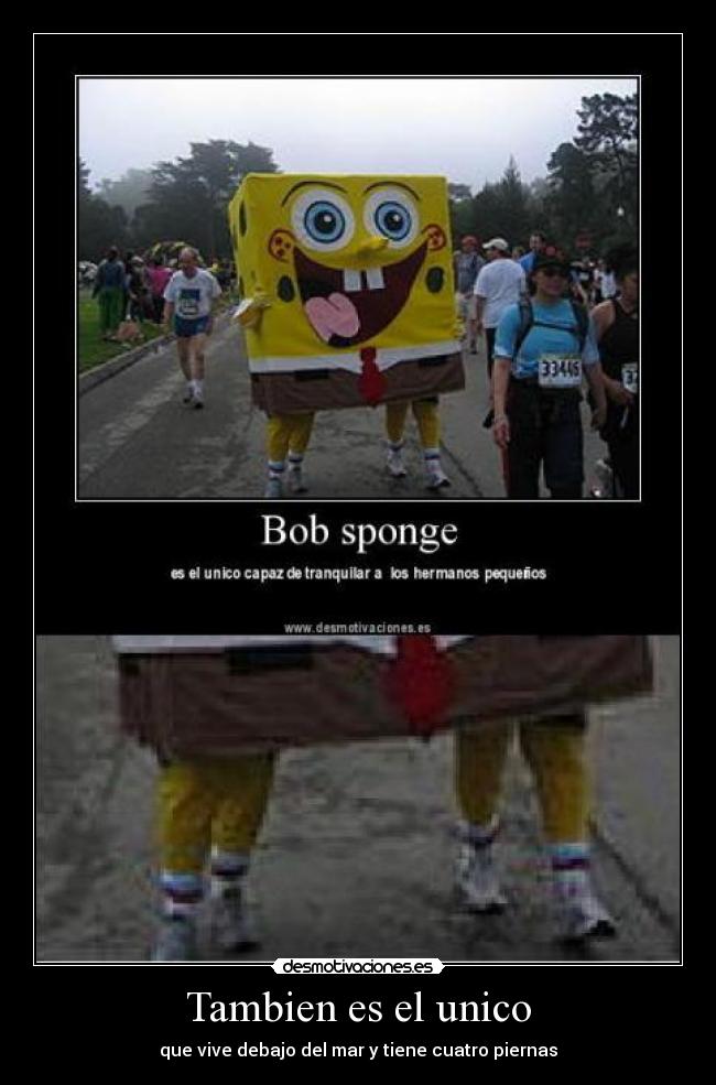 carteles bob esponja pierna etc desmotivaciones