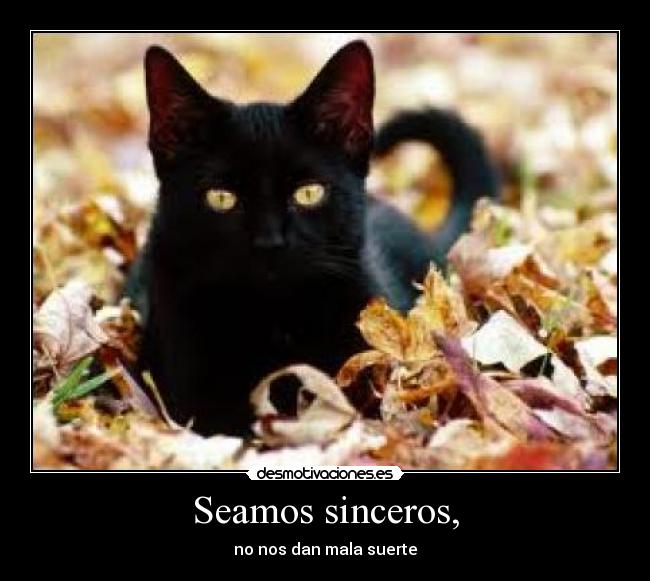 Seamos sinceros, -