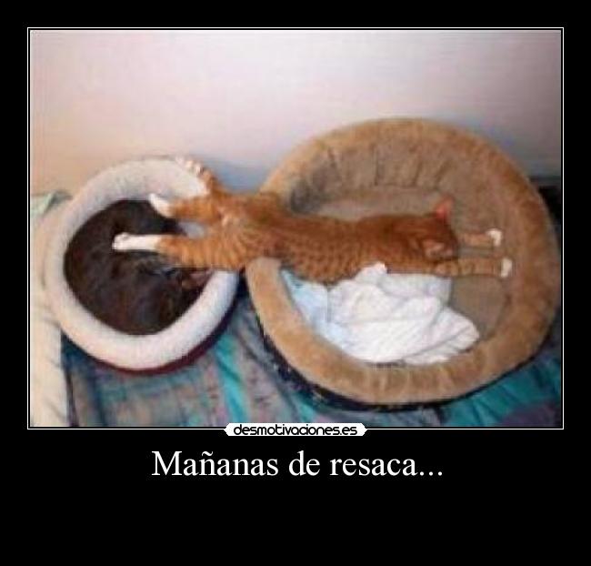 Mañanas de resaca... -