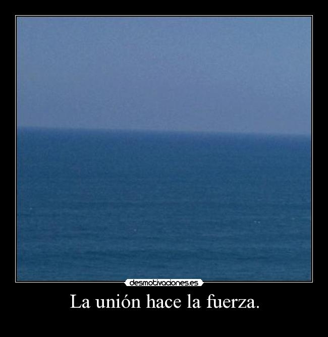 La unión hace la fuerza. -
