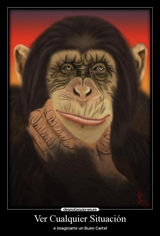 Ver Cualquier Situación - 