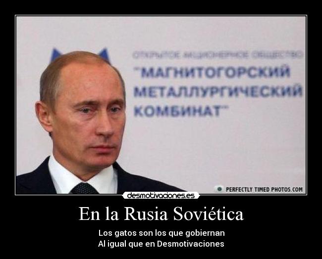 En la Rusia Soviética - Los gatos son los que gobiernan
Al igual que en Desmotivaciones