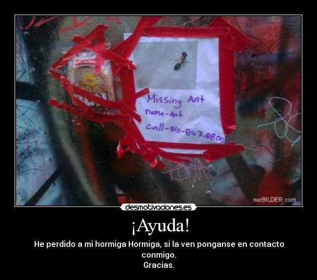 ¡Ayuda! - 
