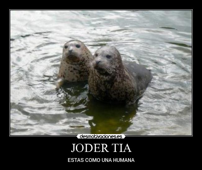 carteles jother tia desmotivaciones