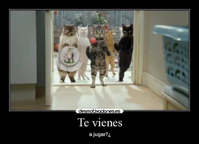 Te vienes - a jugar?¿
