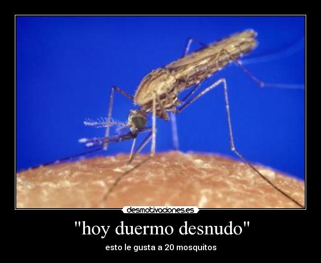 hoy duermo desnudo - 