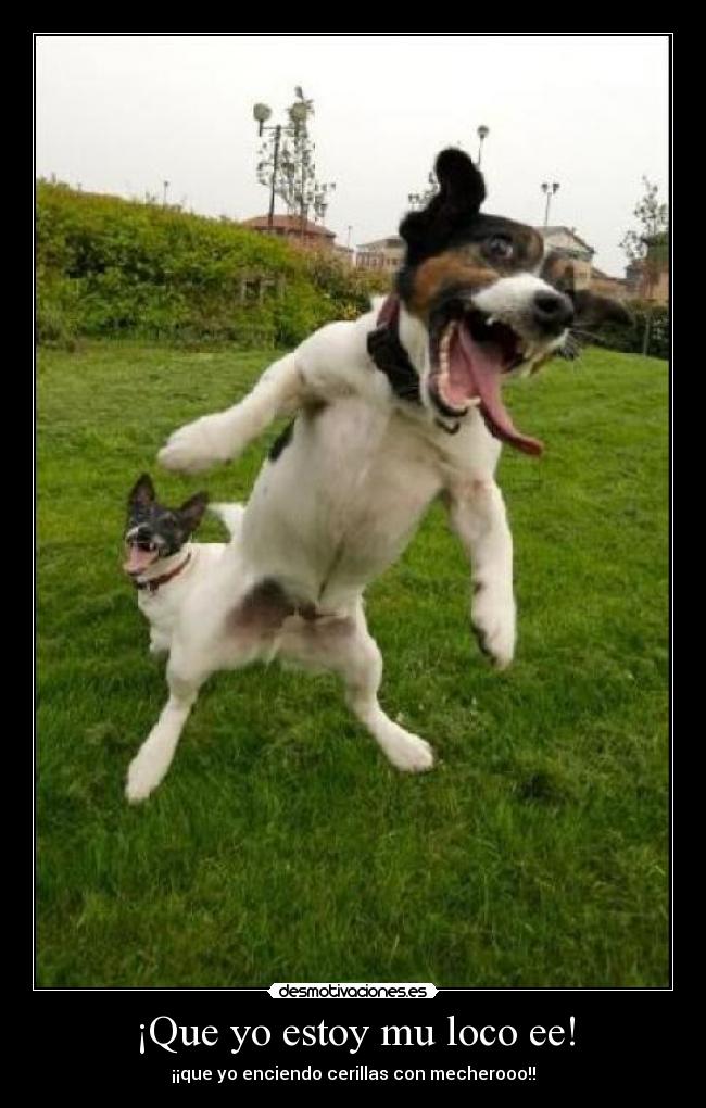 ¡Que yo estoy mu loco ee! - ¡¡que yo enciendo cerillas con mecherooo!!