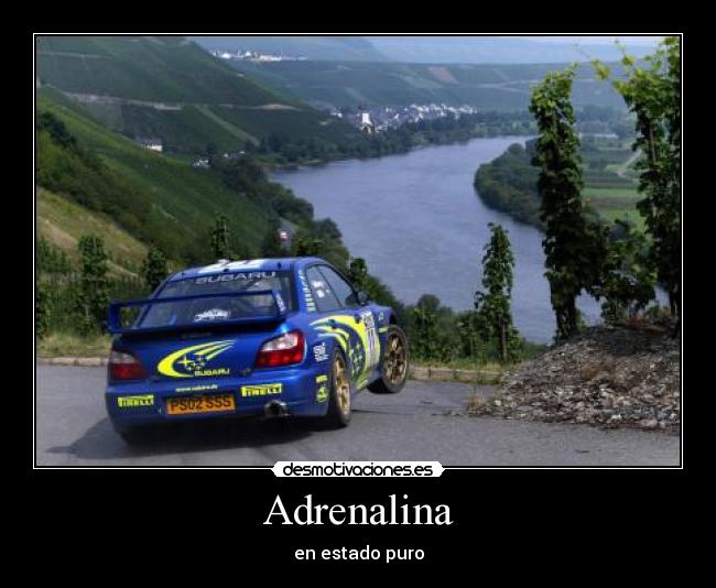 Adrenalina -