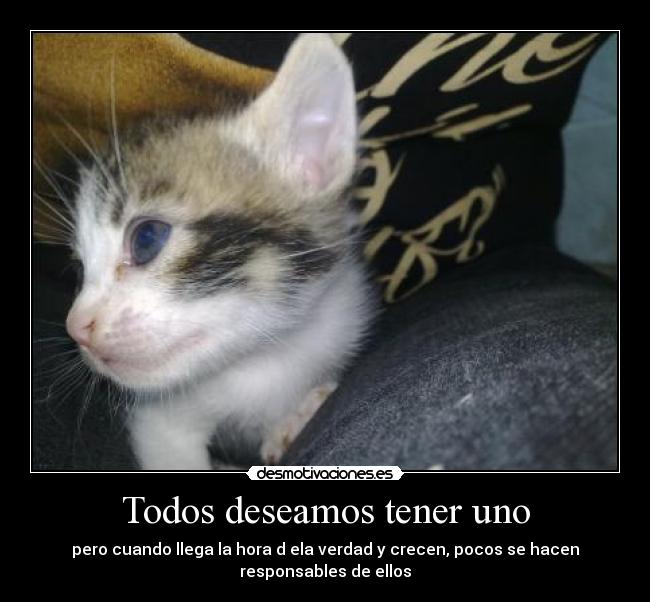 carteles naaaaa desmotivaciones