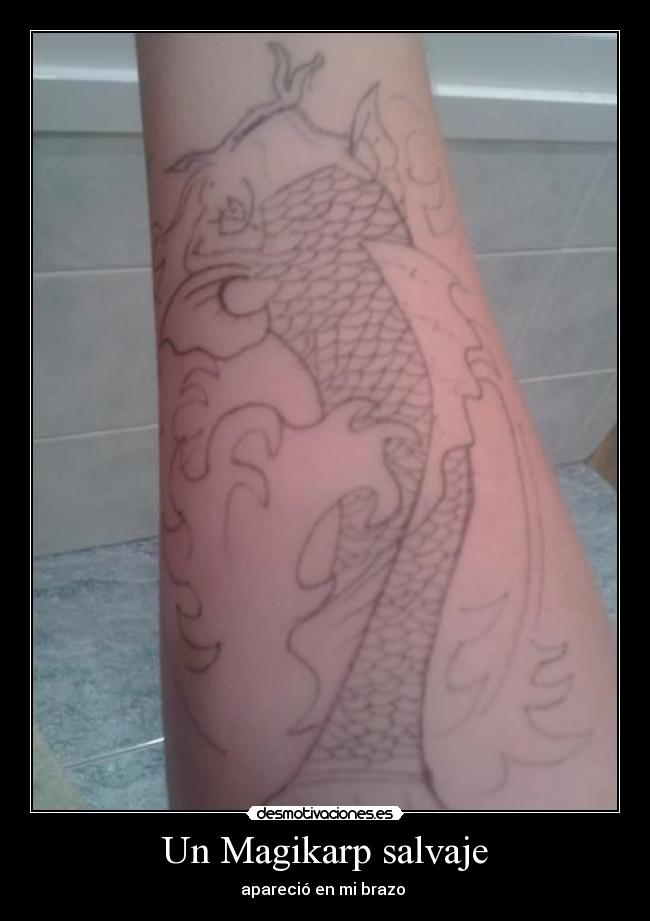 Un Magikarp salvaje - apareció en mi brazo 