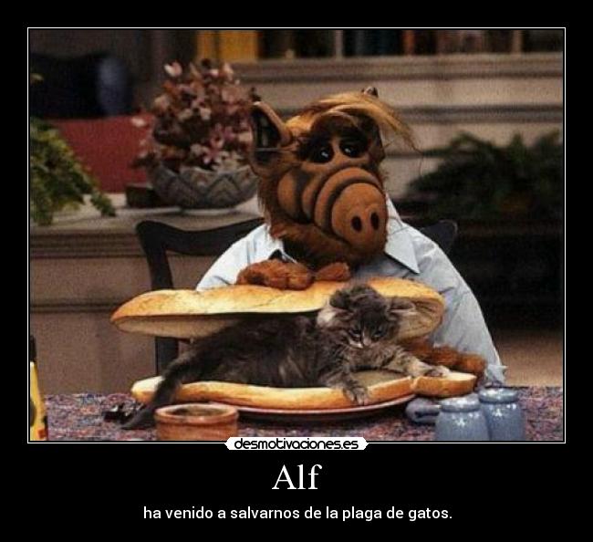 Alf -