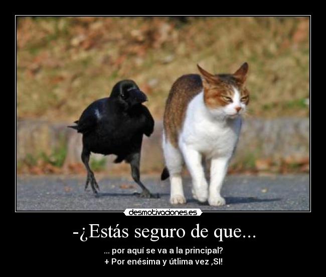 -¿Estás seguro de que... -