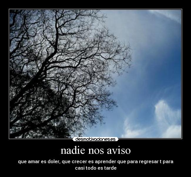 nadie nos aviso - que amar es doler, que crecer es aprender que para regresar t para casi todo es tarde