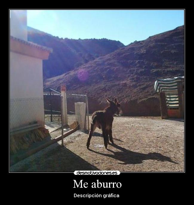 Me aburro - Descripción gráfica