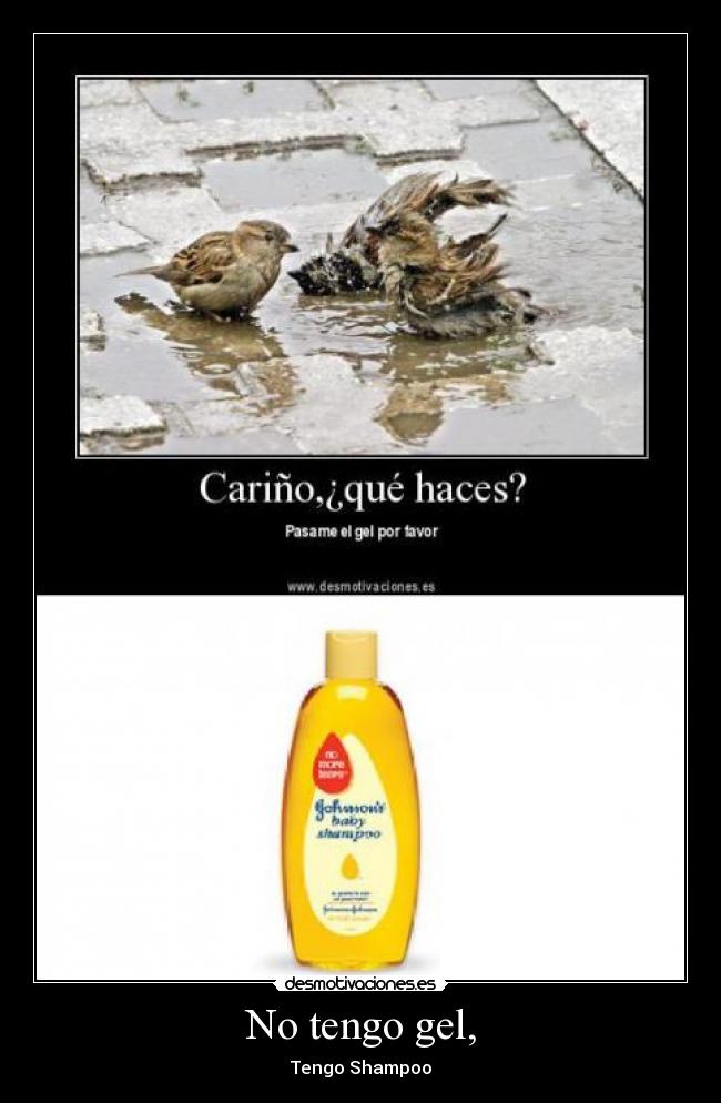 No tengo gel, - Tengo Shampoo