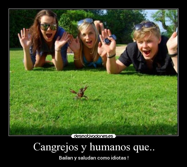 Cangrejos y humanos que.. - Bailan y saludan como idiotas !