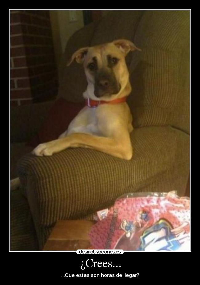 ¿Crees... - ...Que estas son horas de llegar?