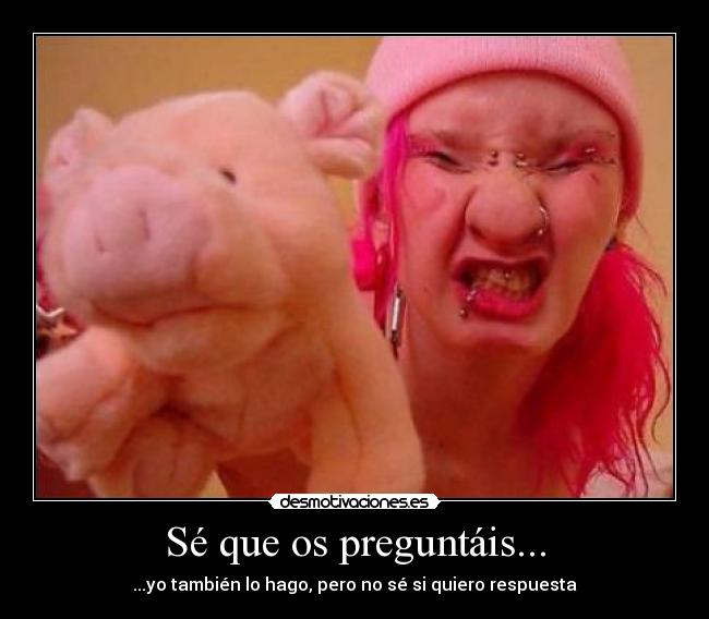Sé que os preguntáis... -