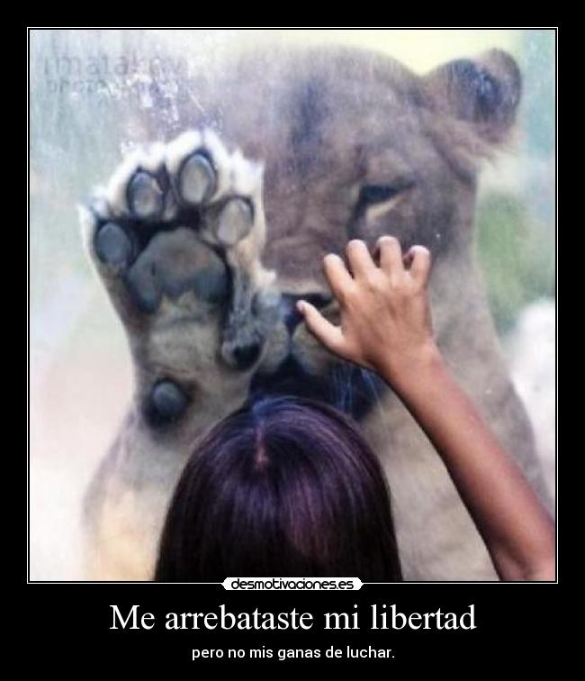 Me arrebataste mi libertad - pero no mis ganas de luchar.