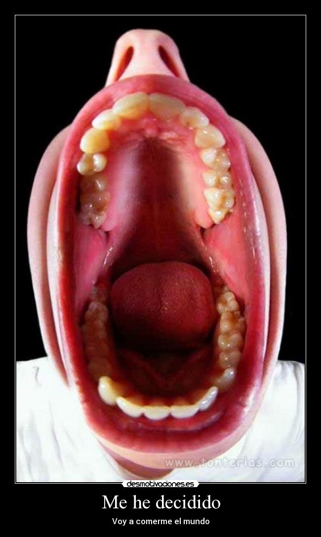Me he decidido - 