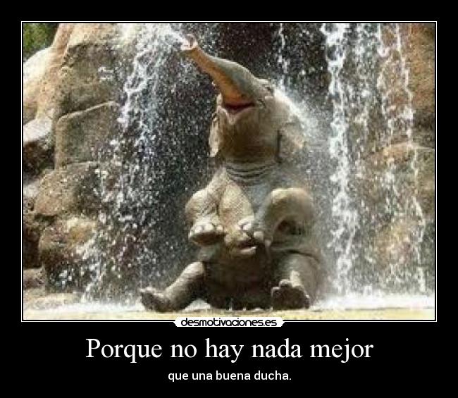 Porque no hay nada mejor - 