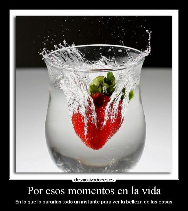 Por esos momentos en la vida - En lo que lo pararías todo un instante para ver la belleza de las cosas.