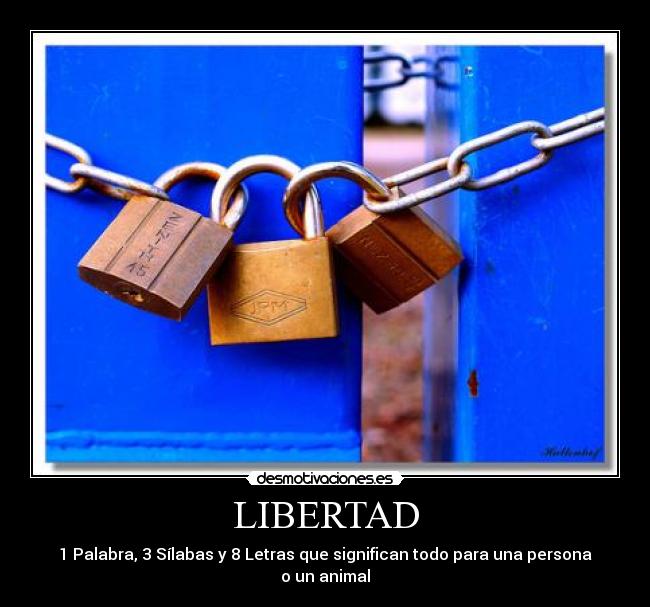 LIBERTAD -