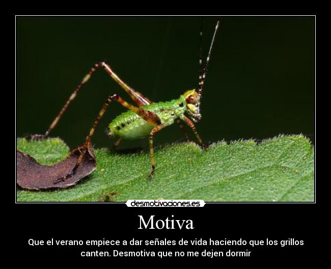 Motiva - Que el verano empiece a dar señales de vida haciendo que los grillos
canten. Desmotiva que no me dejen dormir