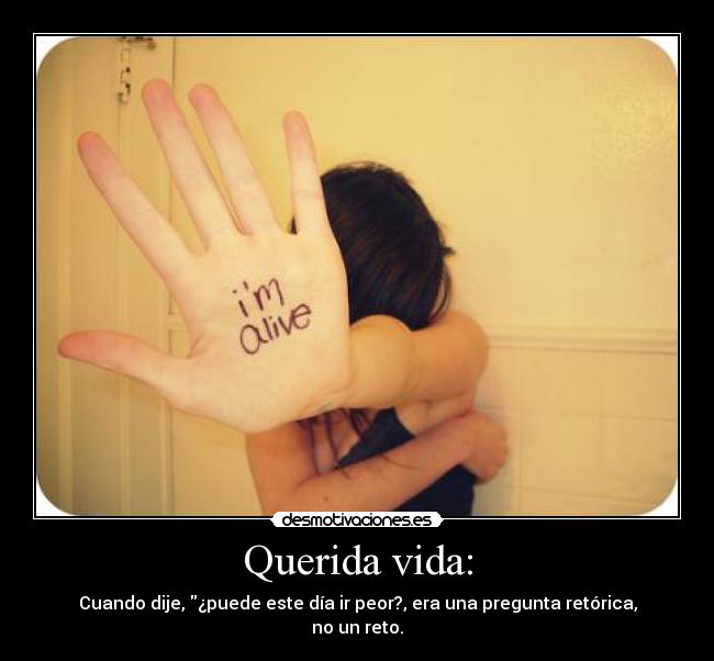 carteles vida querida vida pregunta retorica desmotivaciones