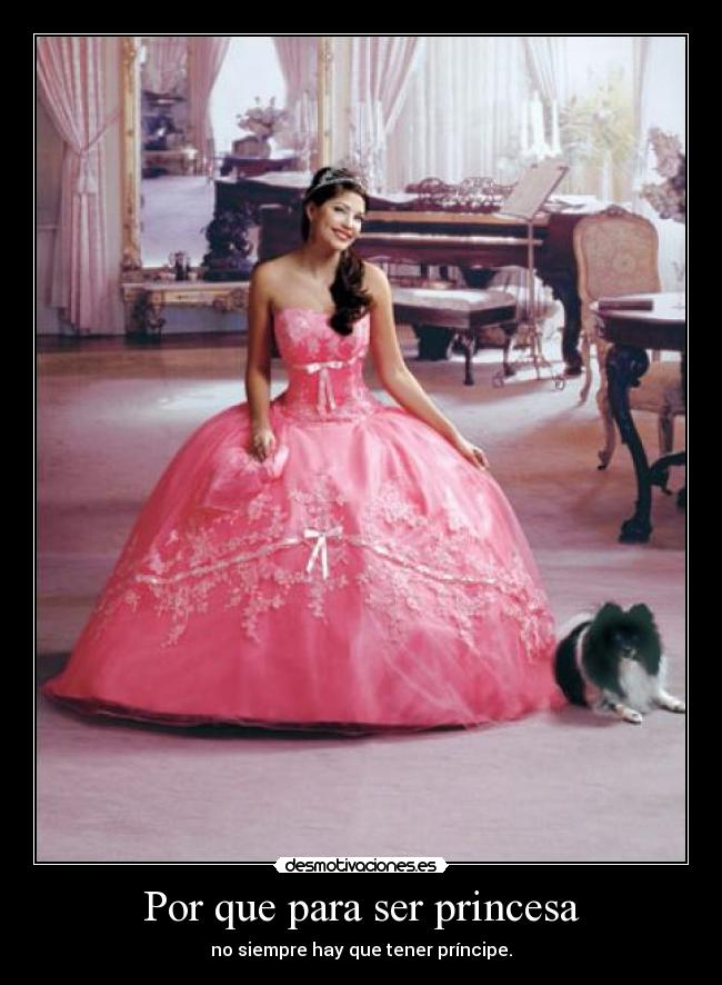 carteles princesa desmotivaciones