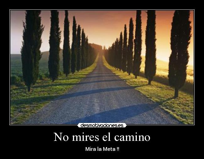 No mires el camino - Mira la Meta !!