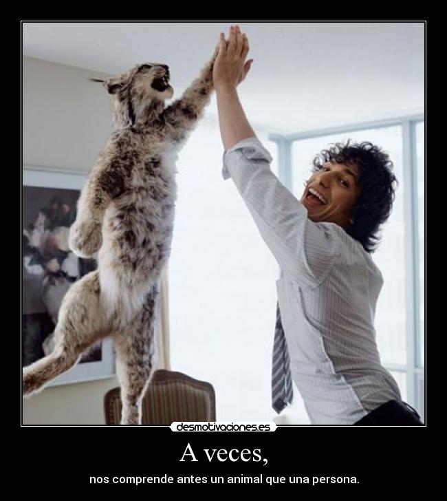A veces, - nos comprende antes un animal que una persona.