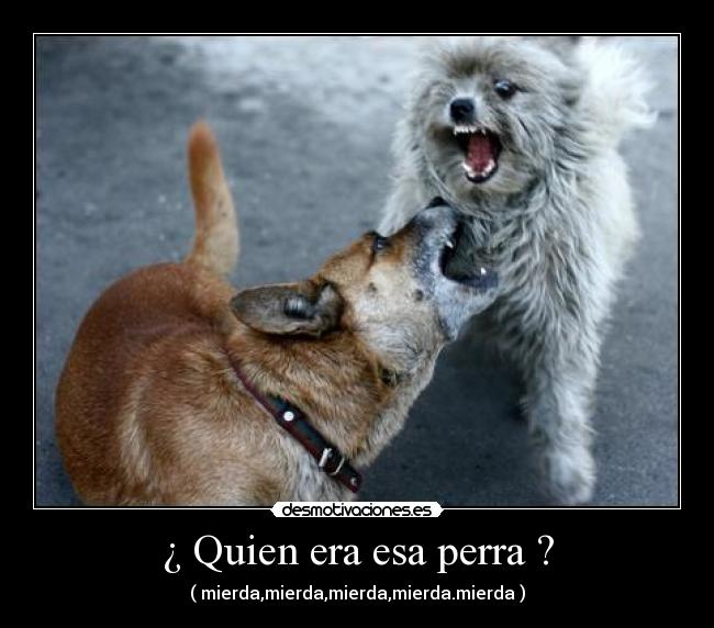 ¿ Quien era esa perra ? -
