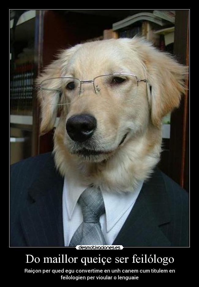Do maillor queiçe ser feilólogo - 