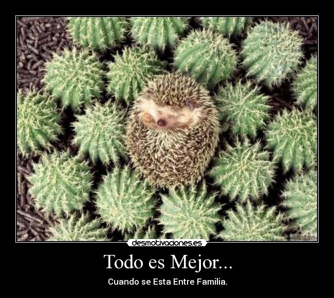 Todo es Mejor... - Cuando se Esta Entre Familia.