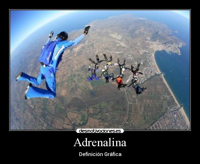 DEFINICION DE ADRENALINA EBOOK DEFINICION DE ADRENALINA EBOOK