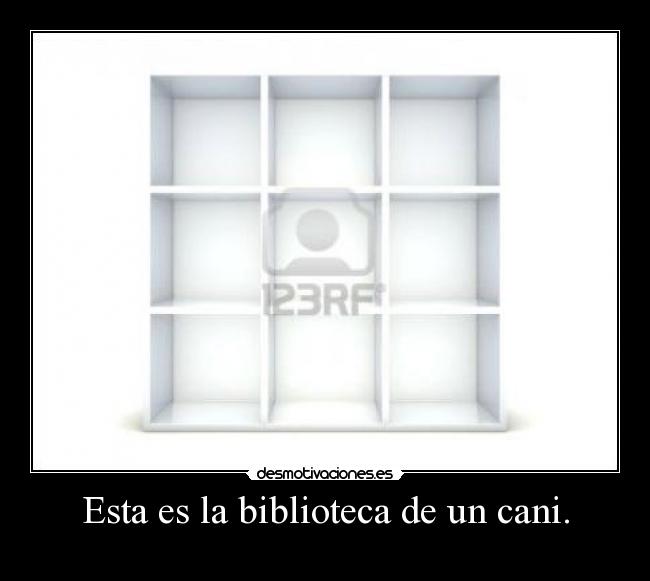 Esta es la biblioteca de un cani. -