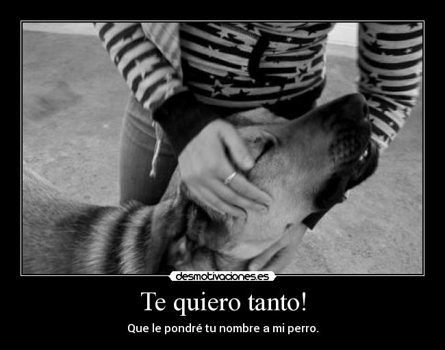 Te quiero tanto! -