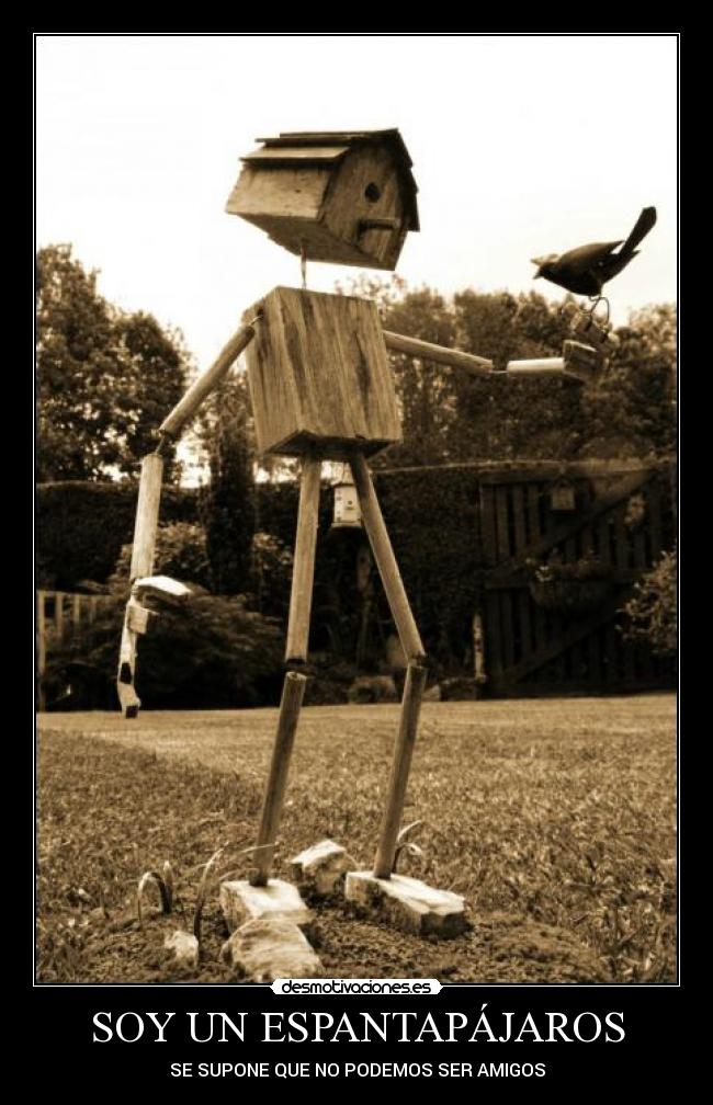 SOY UN ESPANTAPÁJAROS - 